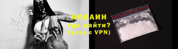 твердый Верхний Тагил