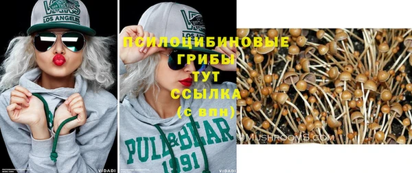 твердый Верхний Тагил