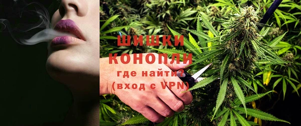 твердый Верхний Тагил