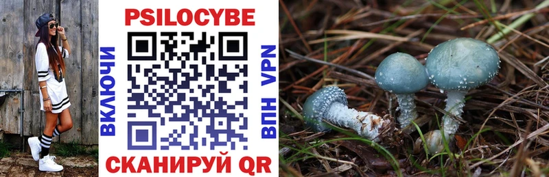 Псилоцибиновые грибы Psilocybe  Благовещенск 